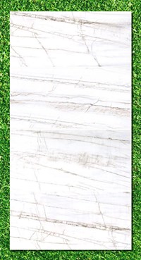 Gạch Ấn Độ 80x160 VA-816.96