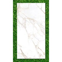 Gạch Ấn Độ 80x160 VA-BF86.105