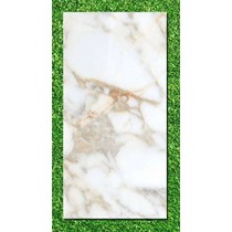 Gạch Ấn Độ 80x160 VA-BL816.19