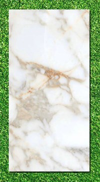 Gạch Ấn Độ 80x160 VA-BL816.19