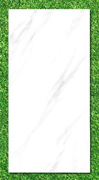 Gạch Ấn Độ 80x160 VA-BL816.24