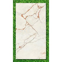 Gạch Ấn Độ 80x160 VA-SM816.35