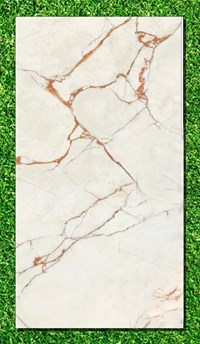 Gạch Ấn Độ 80x160 VA-SM816.35