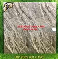Gạch đồng chất Trung Quốc 60x120 D612009