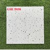 Gạch lát nền 50x50 GSE5038