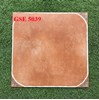 Gạch lát nền 50x50 GSE5039