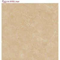 Gạch lát nền Catalan 60x60 6153