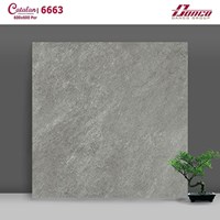 Gạch lát nền Catalan 60x60 6663 mờ