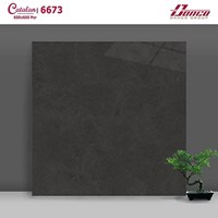 Gạch lát nền Catalan 60x60 6673
