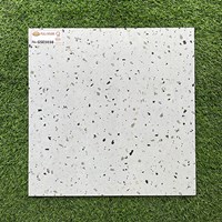 Gạch lát nền giá rẻ 500x500 mờ GSE5038