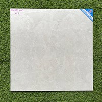 Gạch lát nền giá rẻ 500x500 mờ HM501