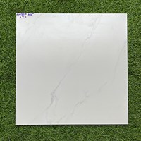 Gạch lát nền giá rẻ 500x500 mờ HM507