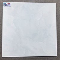 Gạch lát nền giá rẻ 500x500 Ý Mỹ ES5551