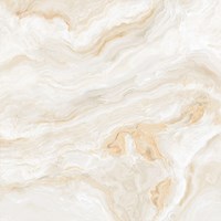 Gạch lát nền Prime 600x600 17132