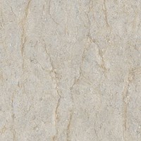 Gạch lát nền Prime 600x600 20858