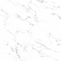 Gạch lát nền Prime 600x600 20885
