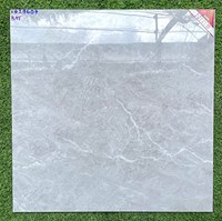 Gạch lát nền Prime 600x600 29607