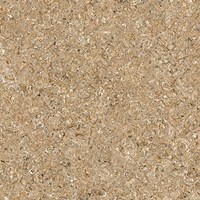 Gạch lát nền Prime 600x600 9698