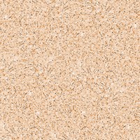 Gạch lát nền Prime 600x600 9702