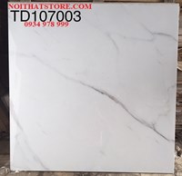 Gạch lát nền Trung Quốc 100x100 TD107003