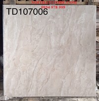 Gạch lát nền Trung Quốc 100x100 TD107006