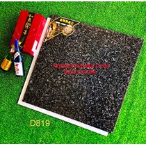 Gạch lát nền Trung Quốc 80x80 D819
