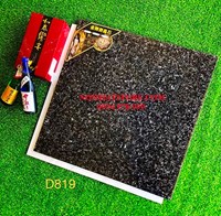 Gạch lát nền Trung Quốc 80x80 D819
