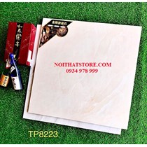 Gạch lát nền Trung Quốc 80x80 TP8223