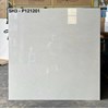 Gạch lát nền Viglacera 120x120 SH3-P121201