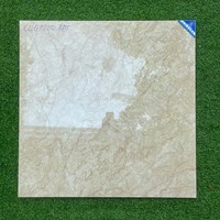 Gạch lát nền Viglacera 80x80 CLGP805