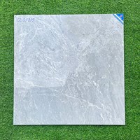 Gạch lát nền Viglacera 80x80 CLGP809