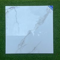 Gạch lát nền Viglacera 80x80 CLGP812