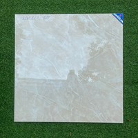 Gạch lát nền Viglacera 80x80 ECOS822