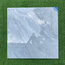Gạch lát nền Viglacera 80x80 GP803