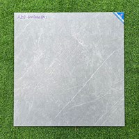 Gạch lát nền Viglacera 80x80 mờ AZ8 GM8802