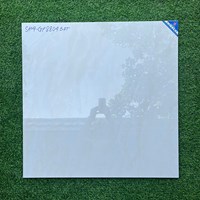 Gạch lát nền Viglacera 80x80 SH4-GP8804