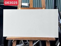 Gạch ốp tường Taicera 30x60 G63025