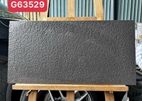 Gạch ốp tường Taicera 30x60 G63529