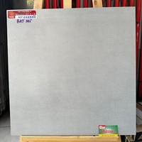 Gạch Prime 60x60 đá mờ NY66133