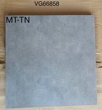 Gạch Royal - Hoàng Gia 60x60 mờ VG66858