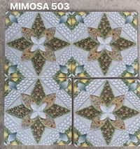 Gạch sân vườn giá rẻ 50x50 Mimosa 503