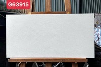 Gạch Taicera 30x60 G63915
