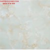 Gạch vi tinh ngọc thạch 100x100 HCT10111