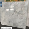 Gạch Viglacera 100x100 CL53-9GP101001