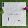 Gạch Viglacera 100x100 NA3-101001