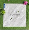 Gạch Viglacera 100x100 NA3-101003