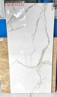 Gạch Viglacera 60x120 CLGP61212