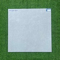 Gạch Viglacera 80x80 mờ HM804