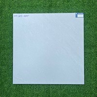 Gạch Viglacera 80x80 mờ HM805