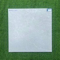 Gạch Viglacera 80x80 mờ UM801